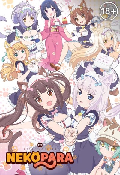 Nekopara в каком порядке